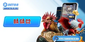 Đá Gà C2: Thể thức chọi kê chuyên nghiệp bậc nhất Đông Nam Á