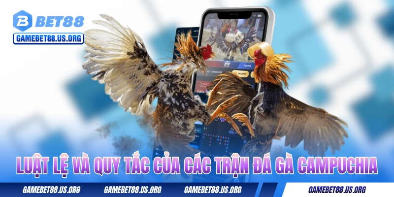 Các luật lệ và quy tắc của các trận đá gà Campuchia