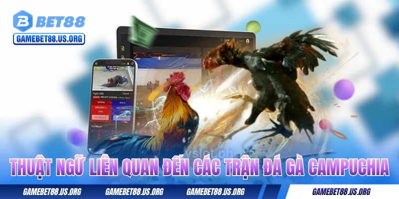 Thuật ngữ liên quan đến các trận đá gà Campuchia