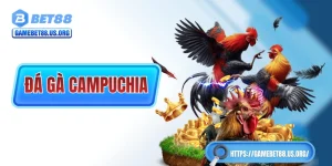 Đá Gà Campuchia Với Luật Lệ Chặt Chẽ Và Quy Mô Hàng Đầu ĐNA