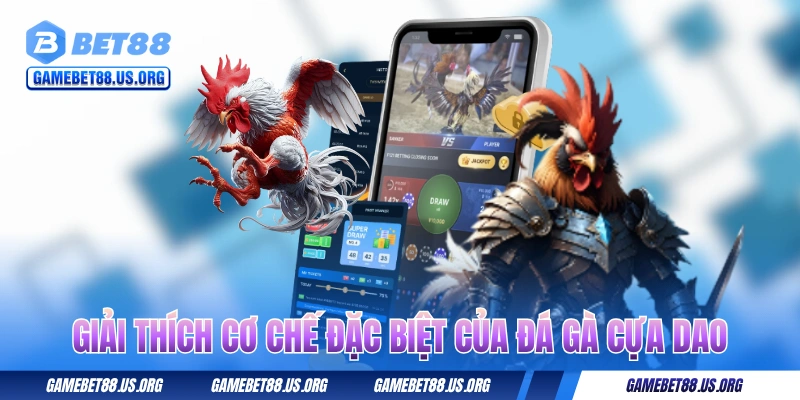 Giải thích cơ chế đặc biệt của đá gà cựa dao