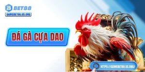 Đá Gà Cựa Dao - Tìm Hiểu Từ A Đến Z Chỉ Trong Vòng 5 Phút