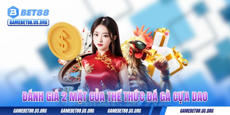 Đánh giá 2 mặt của thể thức đá gà cựa dao