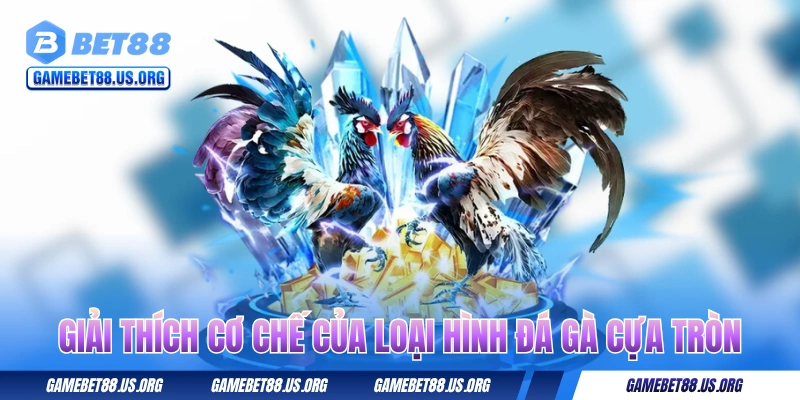 Giải thích cơ chế của loại hình đá gà cựa tròn