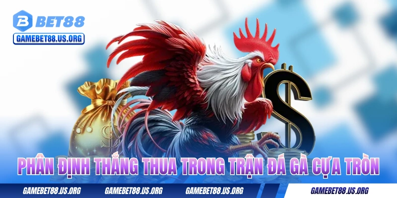 Phân định thắng thua trong các trận đá gà cựa tròn