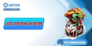 luat-choi-rong-ho-bet88