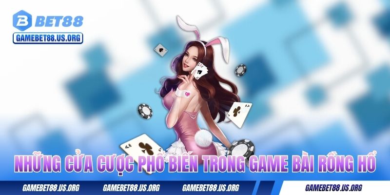Những cửa cược phổ biến trong game bài Rồng Hổ